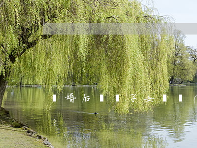 離婚后應給子女撫養(yǎng)費多少？